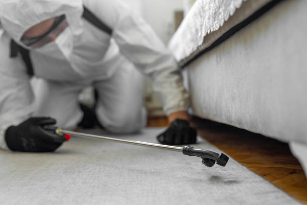 Professional Termite Control technician working in Kent, WA